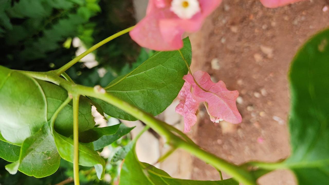 Kanthi Resorts Badami Bāgalkot Dış mekan fotoğraf