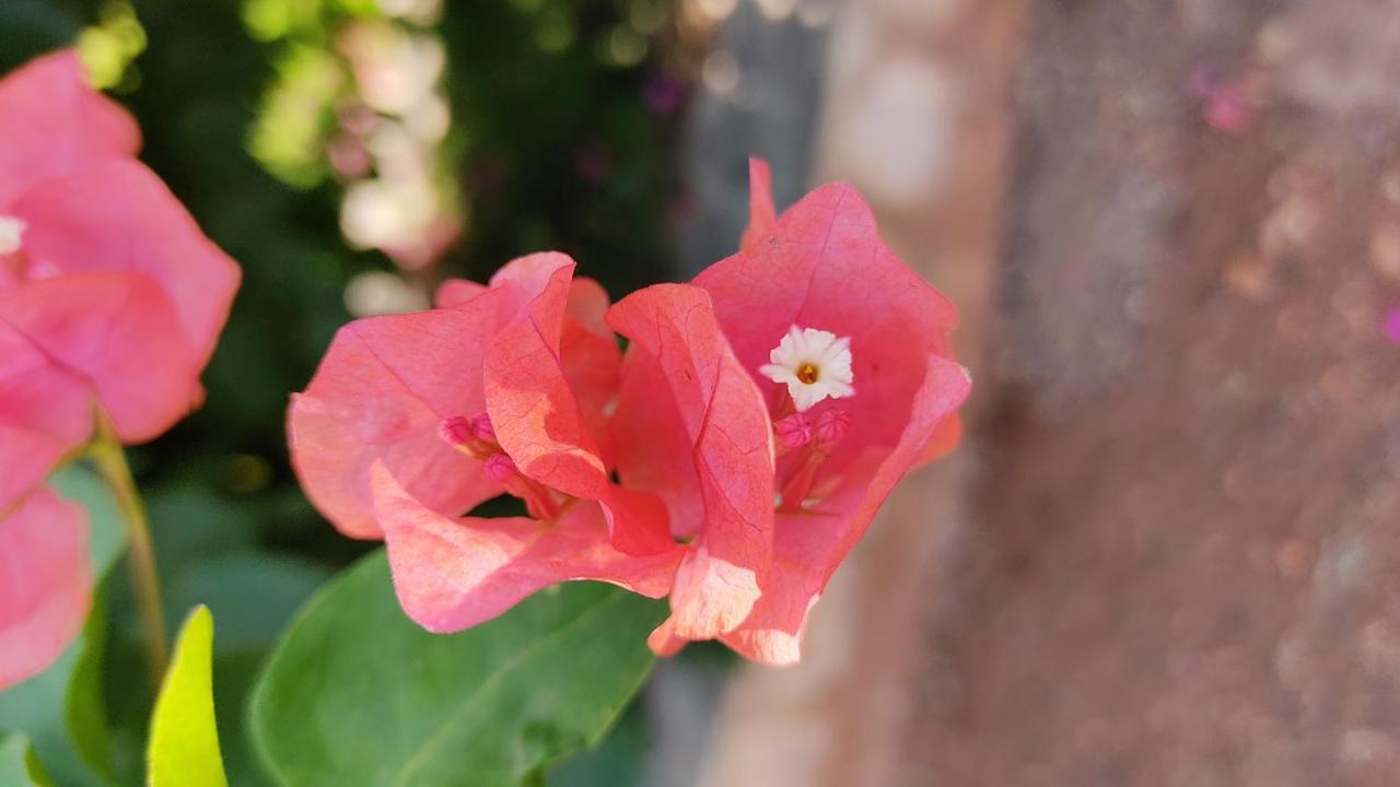 Kanthi Resorts Badami Bāgalkot Dış mekan fotoğraf